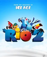 Rio 2 /  2